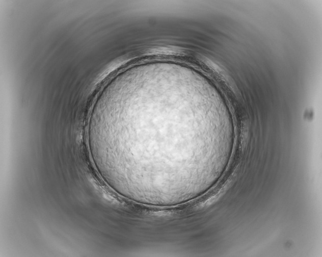 X0000093611017200711051215