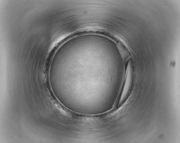 X0000093611018200711051215