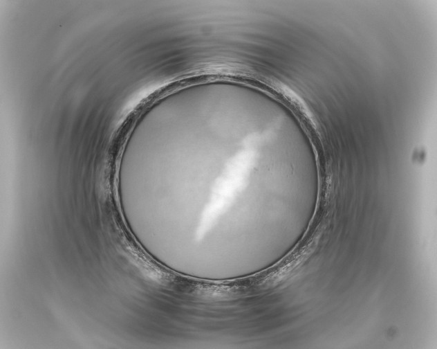 X0000093611019200711051215
