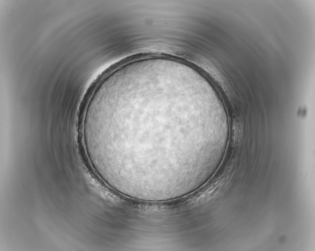 X0000093611020200711051215