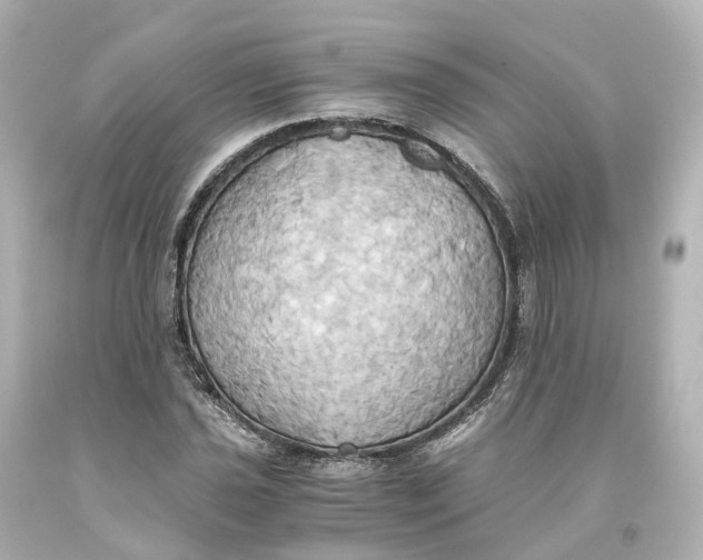 X0000093611021200711051215