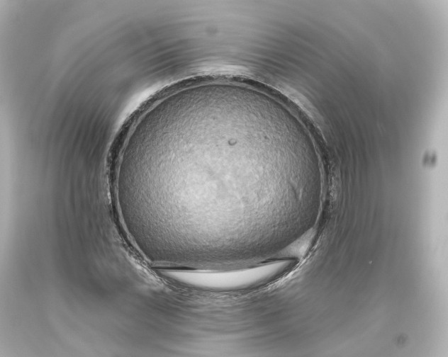 X0000093611022200711051215
