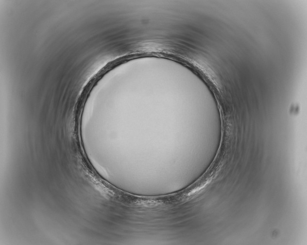 X0000093611023200711051215