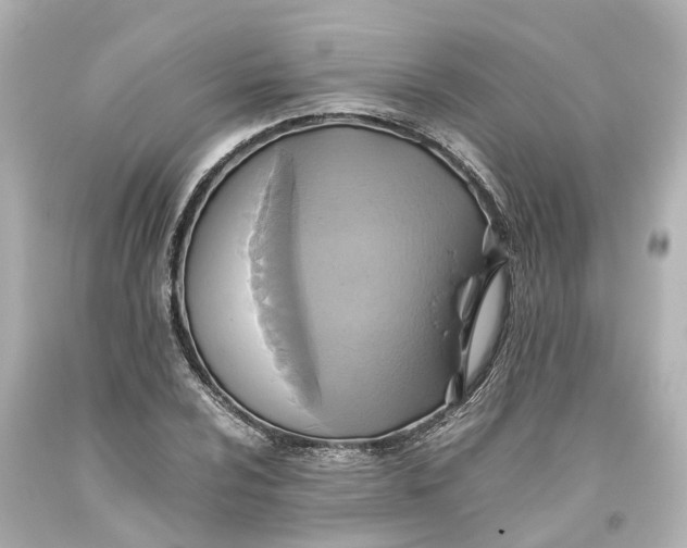 X0000093611024200711051215