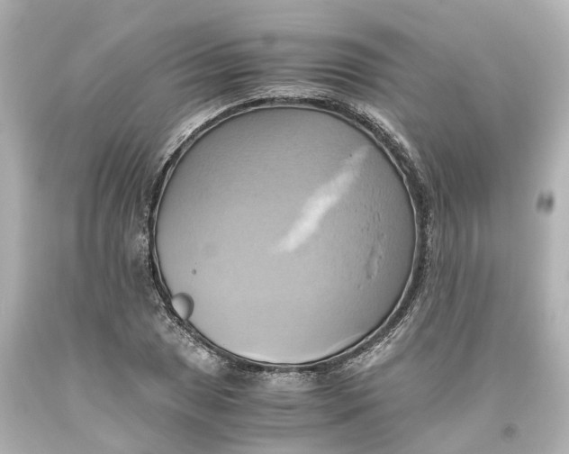 X0000093611025200711051215