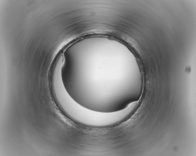 X0000093611026200711051215