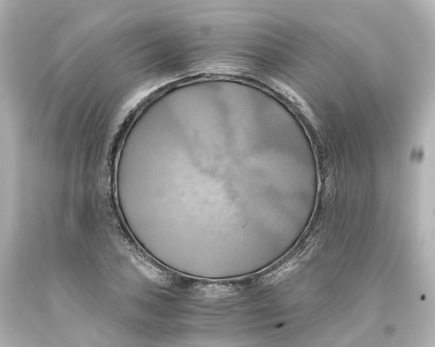 X0000093611027200711051215