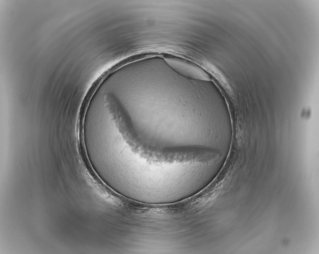 X0000093611028200711051215