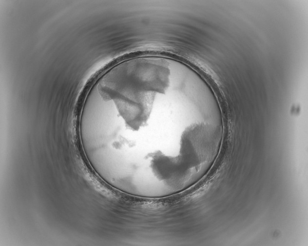 X0000093611029200711051215