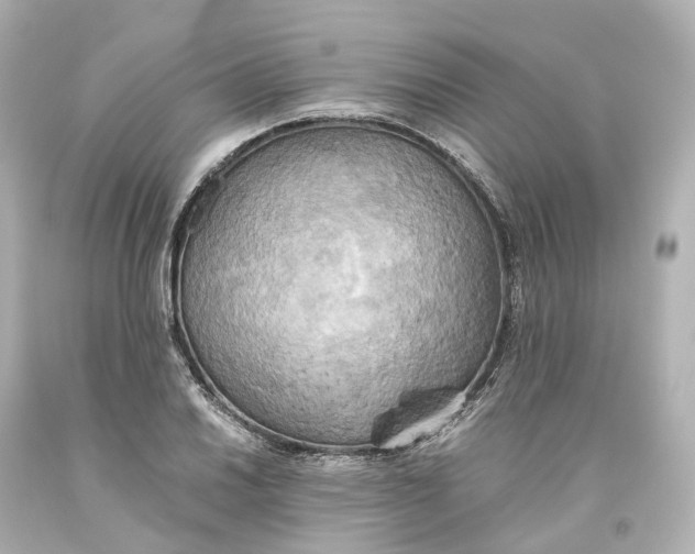 X0000093611030200711051215