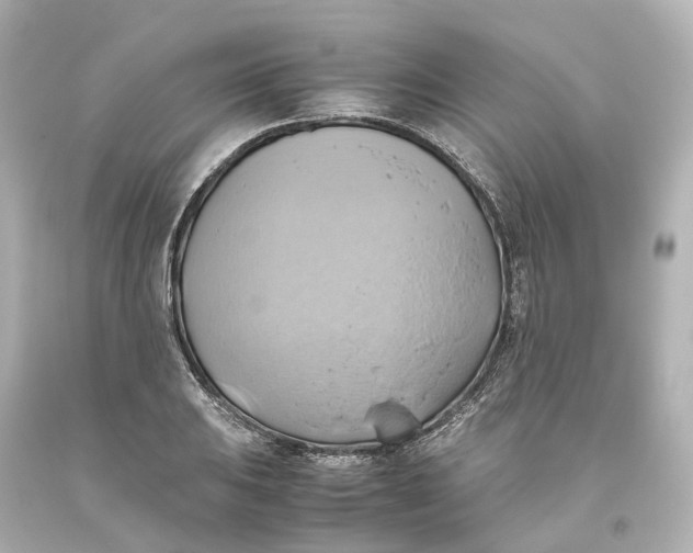 X0000093611031200711051215