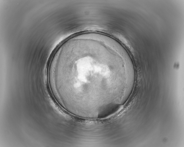 X0000093611032200711051215