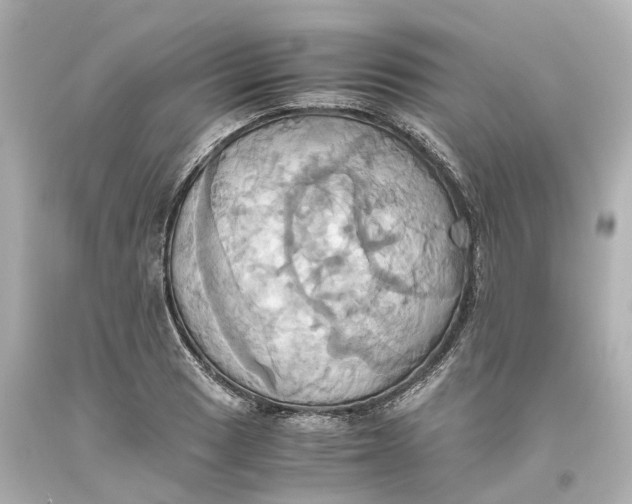 X0000093611033200711051215