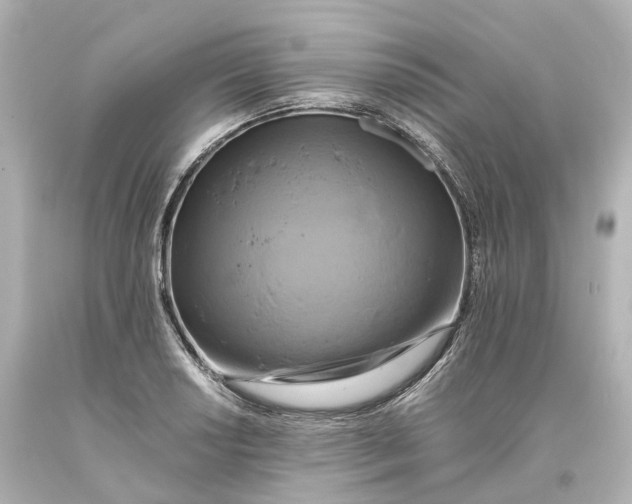 X0000093611034200711051215