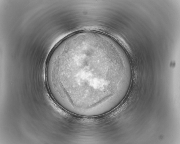 X0000093611036200711051215