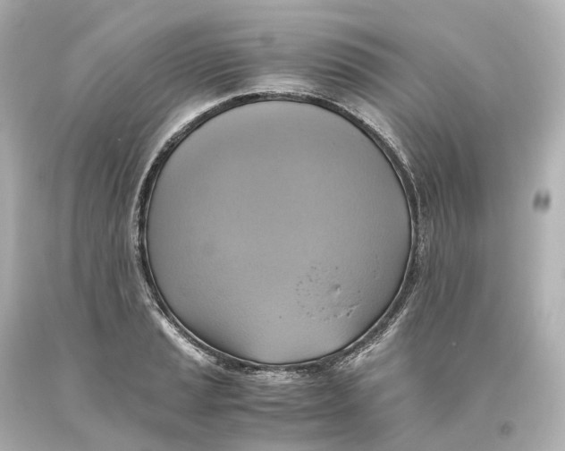 X0000093611037200711051215