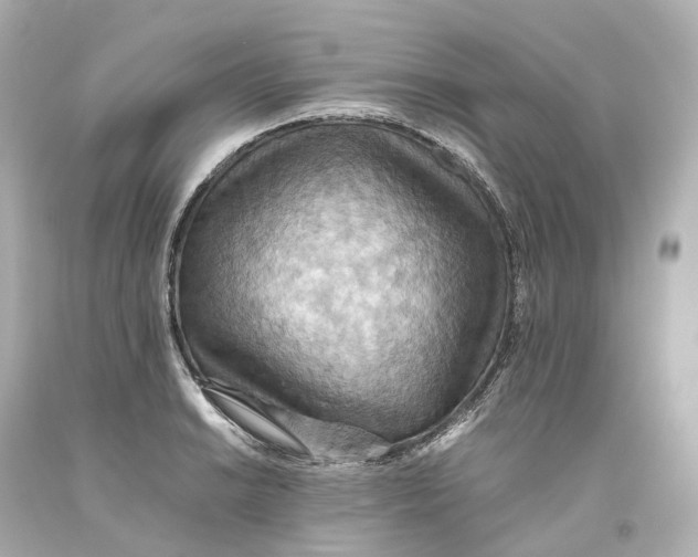 X0000093611038200711051215