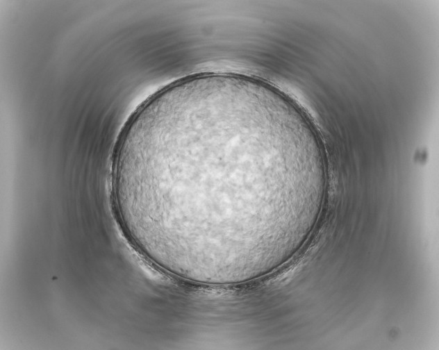 X0000093611040200711051215