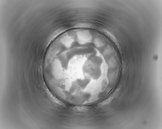 X0000093611041200711051215