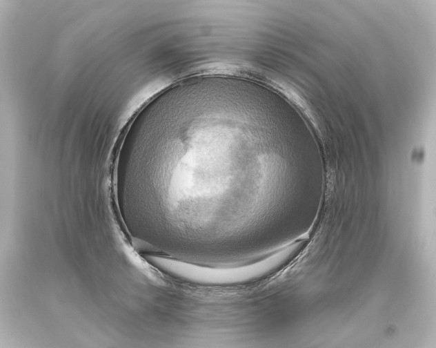 X0000093611042200711051215