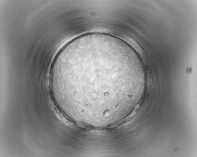 X0000093611044200711051215