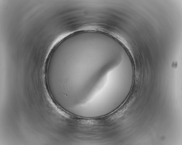 X0000093611045200711051215