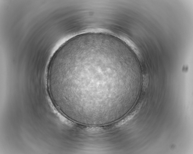 X0000093611046200711051215