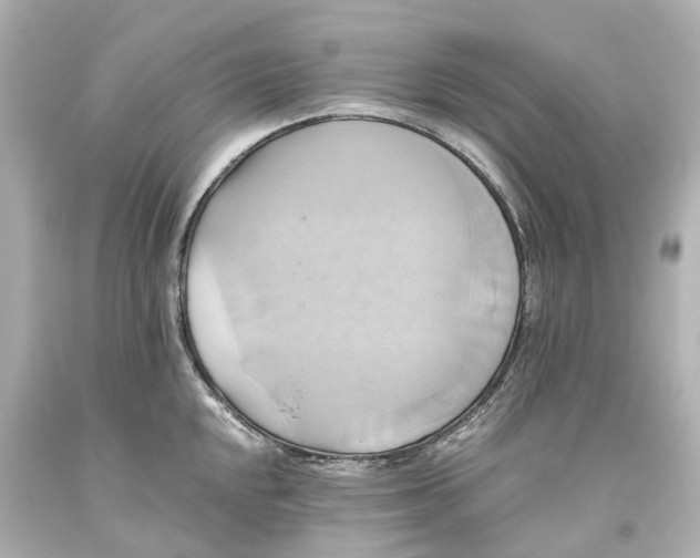 X0000093611048200711051215