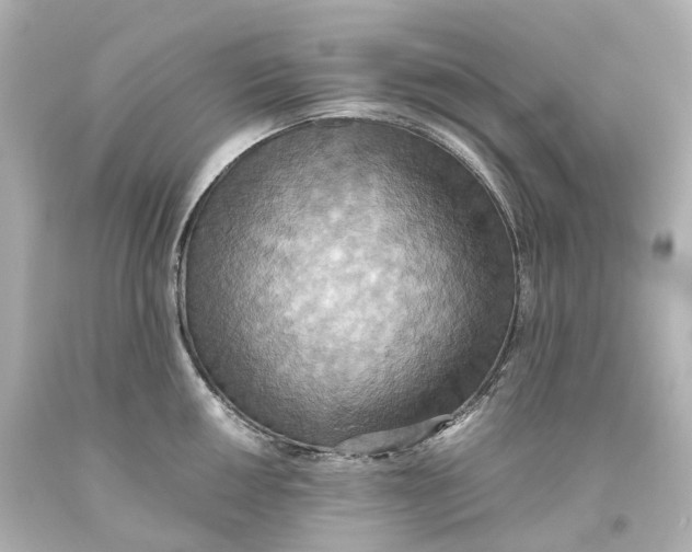 X0000093611050200711051215