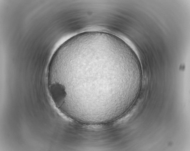 X0000093611053200711051215