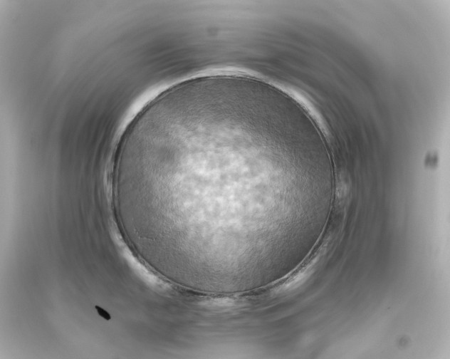X0000093611054200711051215