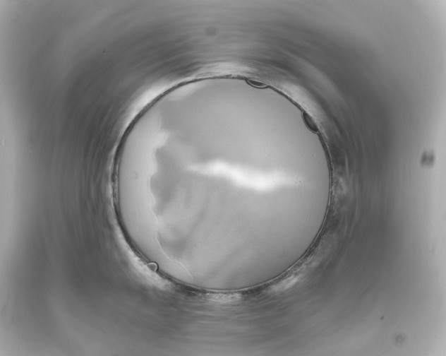 X0000093611055200711051215