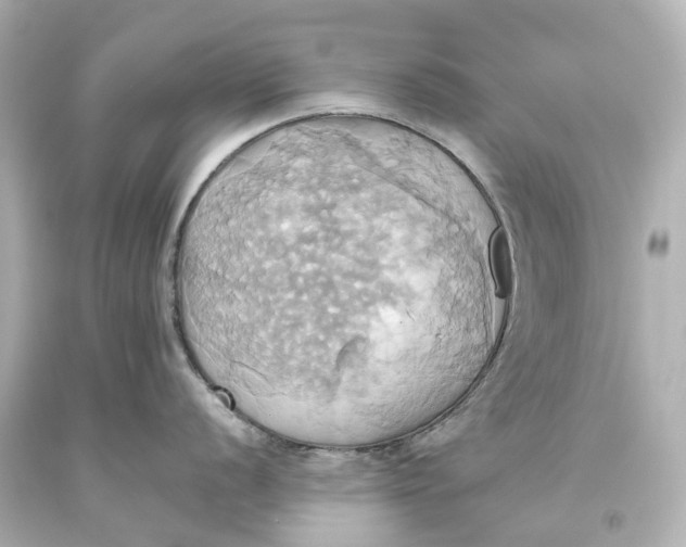 X0000093611056200711051215