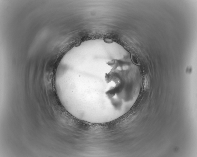 X0000093611059200711051214