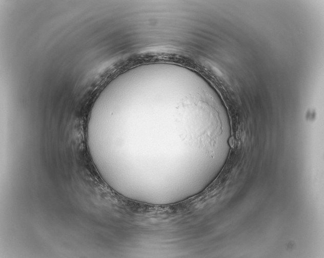 X0000093611062200711051214