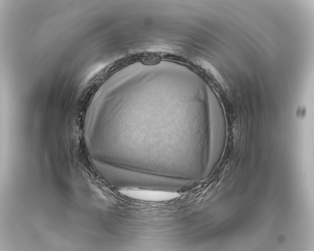 X0000093611064200711051214