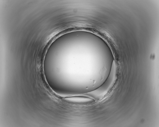 X0000093611065200711051214