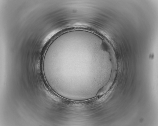 X0000093611066200711051214