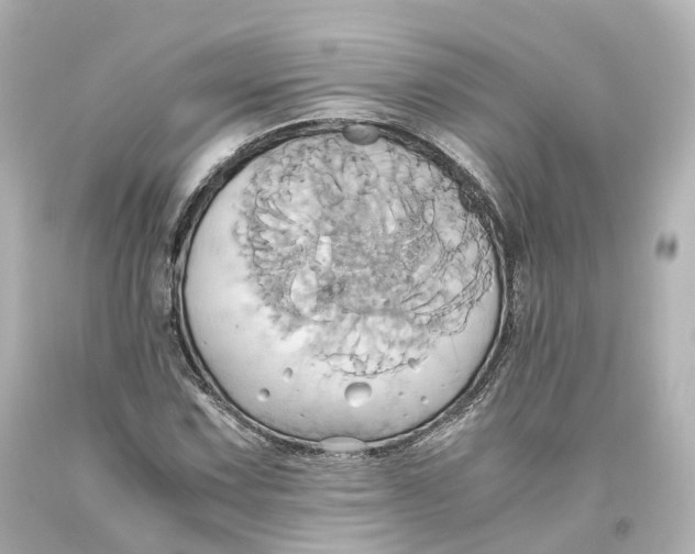 X0000093611067200711051214