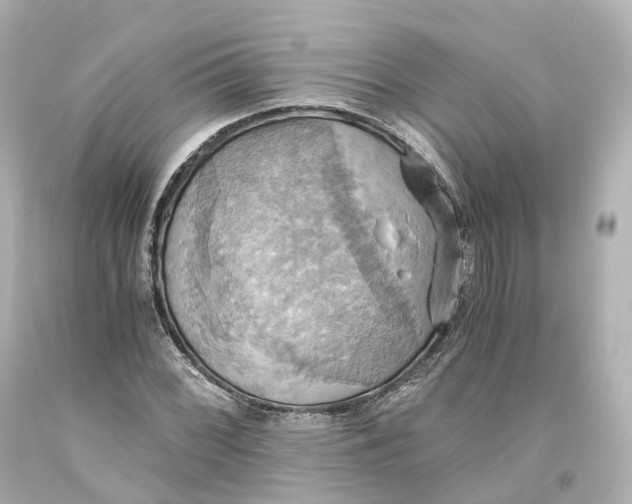 X0000093611068200711051214