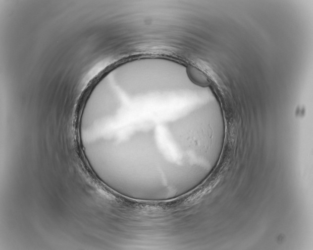 X0000093611071200711051214