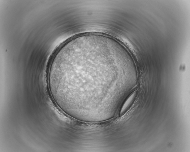 X0000093611072200711051214