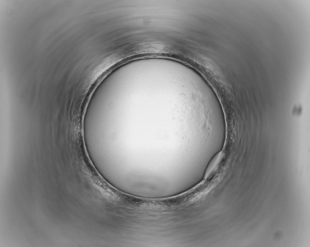 X0000093611073200711051214