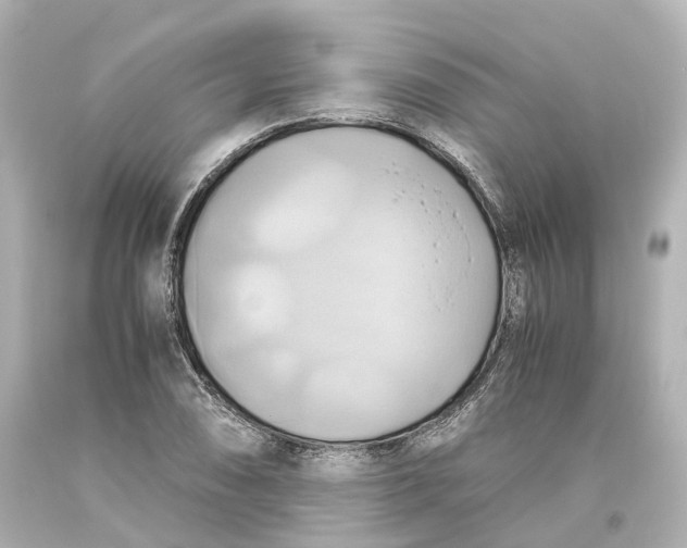 X0000093611074200711051214