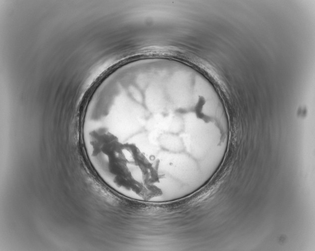 X0000093611075200711051214
