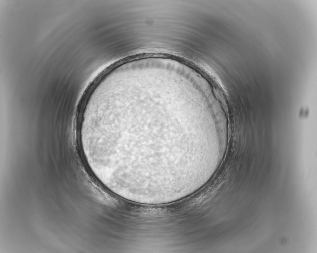 X0000093611076200711051214