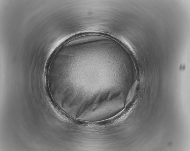 X0000093611077200711051214