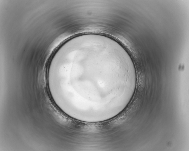 X0000093611078200711051214