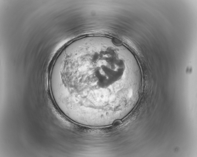 X0000093611079200711051214