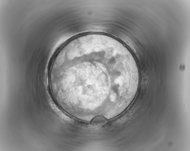 X0000093611080200711051214